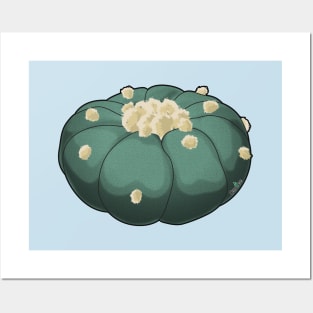 Lophophora Williamsii 3D Peyote Posters and Art